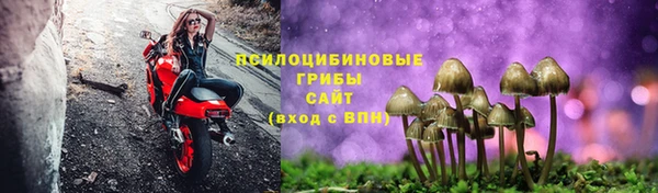mdpv Зеленодольск