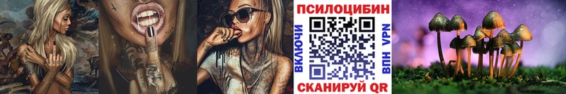 Купить закладки  Поворино  Псилоцибиновые грибы прущие грибы 